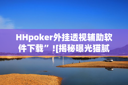 WePoker辅助透视作弊挂教程!专业师傅带你一起了解