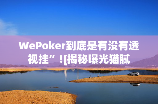 WePoker到底是有没有透视挂”![揭秘曝光猫腻