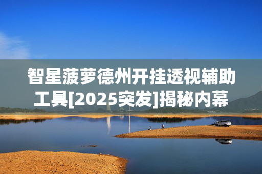 智星菠萝德州开挂透视辅助工具[2025突发]揭秘内幕