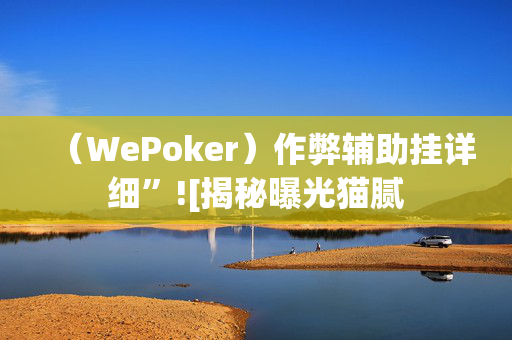 （WePoker）作弊辅助挂详细”![揭秘曝光猫腻