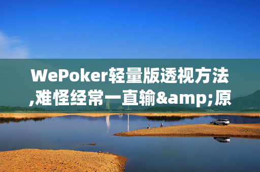 WePoker轻量版透视方法,难怪经常一直输&原来有猫腻