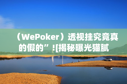 WePoker有没有作弊挂!太坑人了“原来有挂