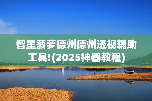 智星菠萝德州德州透视辅助工具!(2025神器教程)