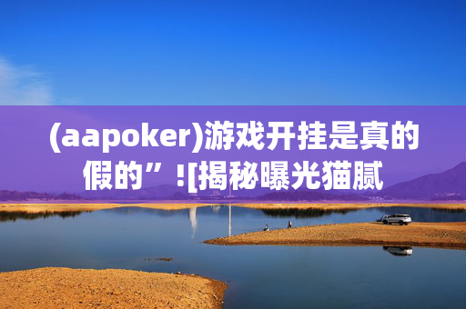 (aapoker)游戏开挂是真的假的”![揭秘曝光猫腻