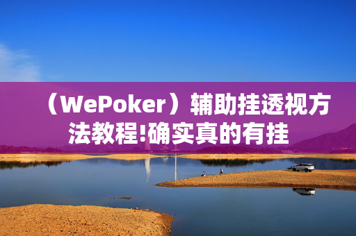 （WePoker）辅助挂透视方法教程!确实真的有挂