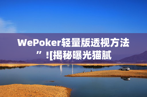 WePoker轻量版透视方法”![揭秘曝光猫腻