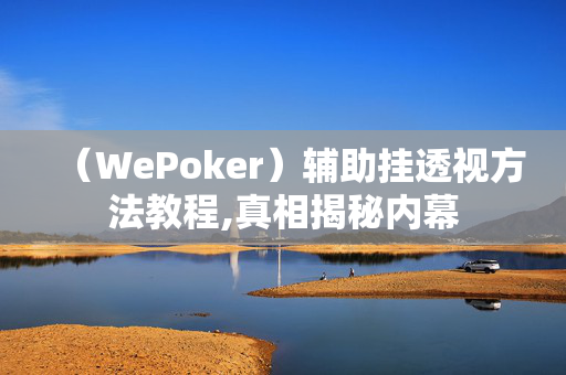 （WePoker）辅助挂透视方法教程,真相揭秘内幕