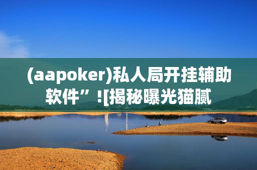 (aapoker)私人局开挂辅助软件”![揭秘曝光猫腻