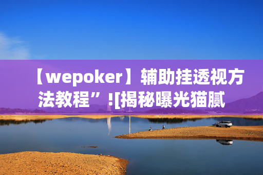 【wepoker】辅助挂透视方法教程”![揭秘曝光猫腻