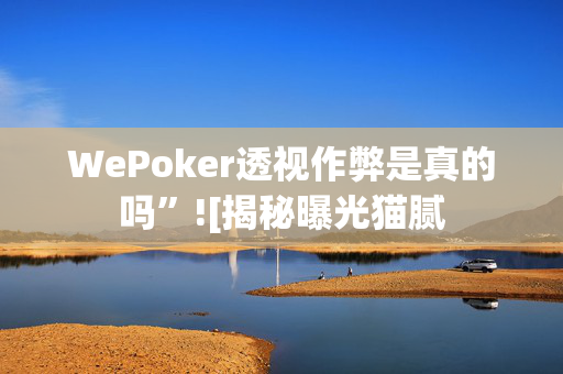 WePoker透视作弊是真的吗”![揭秘曝光猫腻