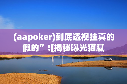 aapoker德州外挂作弊教程”其实确实有挂