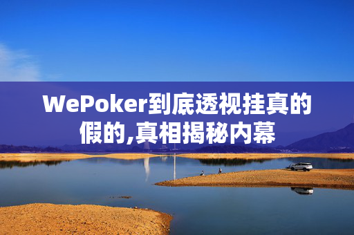 HHpoker外挂辅助插件,猫腻难怪经常一直输&原来有猫腻