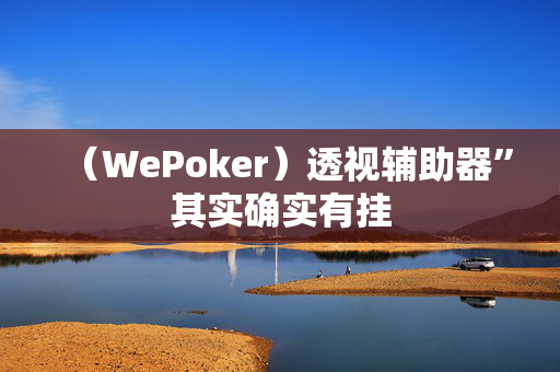 （WePoker）透视辅助器”其实确实有挂