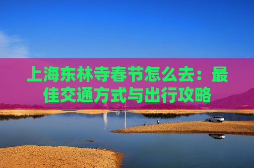 上海东林寺春节怎么去：最佳交通方式与出行攻略