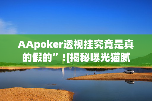 AApoker透视挂究竟是真的假的”![揭秘曝光猫腻