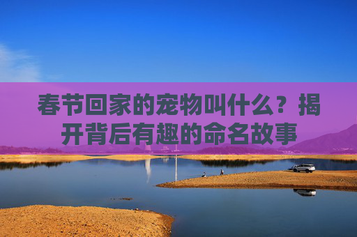 春节回家的宠物叫什么？揭开背后有趣的命名故事